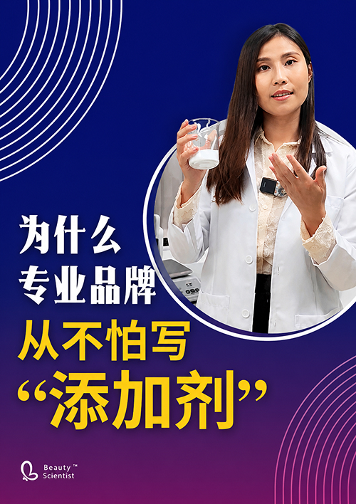 brochure 04