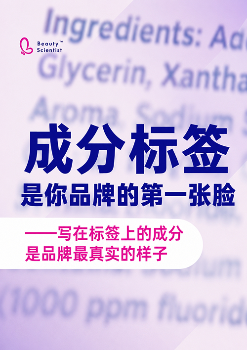 brochure 08