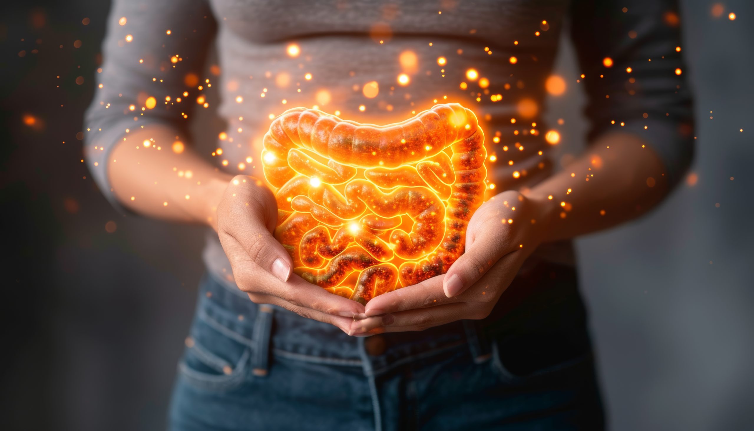 gut health supplement manufacturer