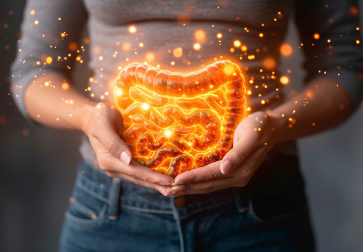 gut health supplement manufacturer